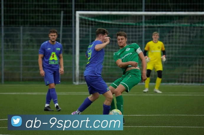 九游官网平台生态图